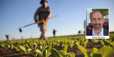 “Yasaklı ilaçları içeren ithal sebze ve meyve tüketicilere sunuluyor”