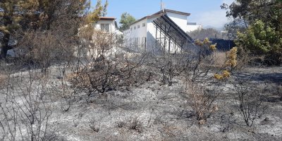 5 dönümlük arazi yandı