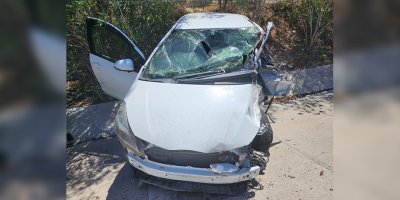 Araç yolun solundan çıkarak ağaçlara çarptı ve durdu