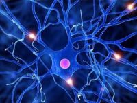 “Sinir Transferi” beyin felci hastaları için umut oldu