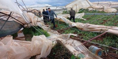 8 bin 473 üreticiye 142 milyon TL DGD ödemesi yapıldı