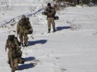 Yayla evlerinde erzak çalan teröristlere karşı tedbirler artırıldı