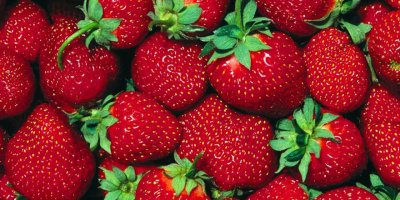 Çilek, elma ve armutta limit üstü bitki koruma tespit edildi