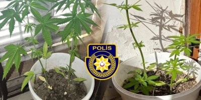 Girne ve Güzelyurt’ta uyuşturucu bulundu: 4 tutuklu