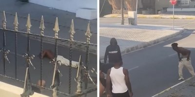 Ortalığı birbirine katan zanlı, bir kişiyi de darp etti