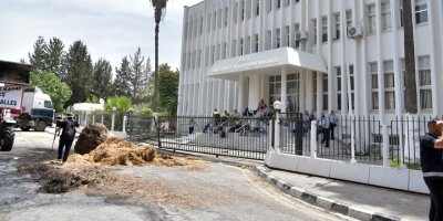 Hayvan Üreticileri ve Yetiştiricileri Birliği’nin eylemi devam ediyor