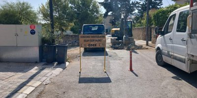 Şenkul: Adım adım tüm sorunları çözeceğiz