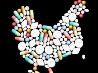 Güneyde hayvanlara 8 kat fazla antibiyotik veriliyor