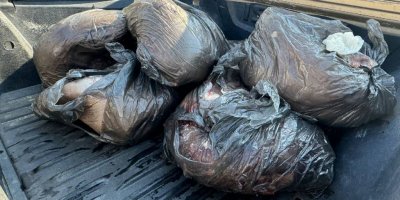 Bostancı Kara Geçiş Kapısı’nda 200 kilo kaçak et ele geçirildi!