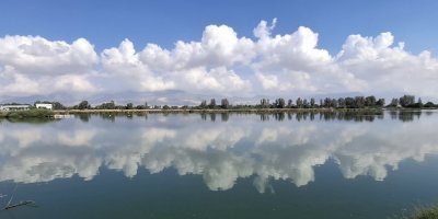 Derneği: Haspolat sulak alanı el birliğiyle yok ediliyor