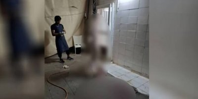 Mühürsüz et kesimine ceza!