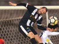 Zirvenin hakimi Kartal