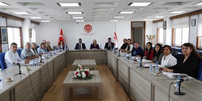 “Sosyal Hizmetler Dairesi Yasa Tasarısı” komitede görüşülüyor