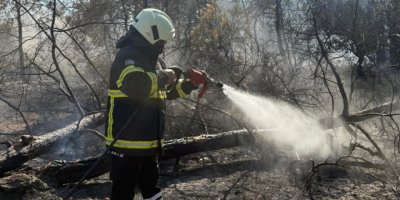 10 dönümlük alan kül oldu!
