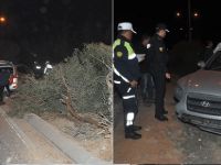 Refüje çıktı, ağaca çarptı