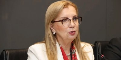 Canaltay: Bir an önce nüfus sayımına gitmeliyiz