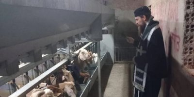 Papazlar şap hastalığına karşı hayvanları ve üreticilerı kutsadı