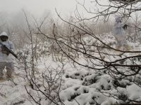 2017'nin son ayında teröristlere ağır darbe!