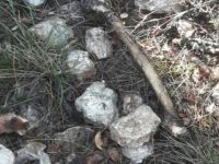 Mersin'de çalılık alanda insan kemikleri bulundu