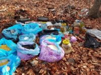 Amanos Dağları'nda teröristlerin erzak deposu imha edildi