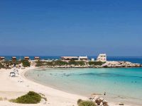 Toparlanıyoruz Hareketi: “Emirname hukuken yırtılıp atılamaz”