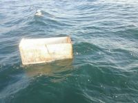 Bursa'da denizden buzdolabı çıktı