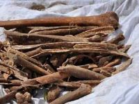 Baf’ta şapelde kumaşa sarılmış, M.S. 1400’lere tarihlenen insan kemikleri bulundu