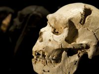 İlk insanlar hakkında 'Kuzey Amerika' iddiası