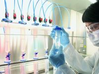 Hindistan'da domuz gribi alarmı