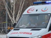 Van'da iki erkek cesedi bulundu