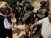 Filistinlilere ait yaklaşık 50 zeytin ve badem ağacı, Yahudi yerleşimciler tarafından kesildi