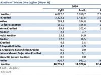 Kredi alıyor, ödemiyoruz