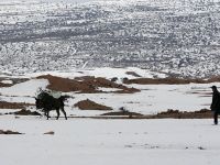 Sahra Çölü bu yıl da beyaza büründü