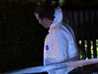 İsveç'te bir evde 4 ceset bulundu