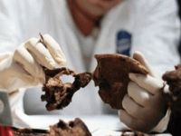 “Faethon”un 5 Yunan mürettebatının kalıntıları teslim edildi