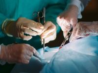 "Türkiye, canlıdan böbrek naklinde en tecrübeli ülke"