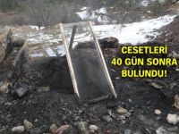 Kastamonu'da beş kişinin öldürüldüğü cinayeti protez ve implant diş parçaları çözdü