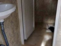 Antalya'da mezarlık tuvaletinde kesilmiş 2 tavuk bulundu