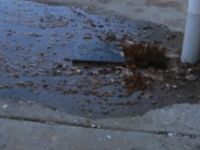 İnsan dışkıları yollara saçıldı