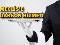 Meclis Genel Sekreterliği: "Alınan kişiler 6 aylık geçici işçi"