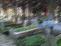 Diyarbakır'da mezarlıkta bebek cesedi bulundu