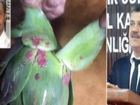 İlaç kalıntıları vatandaşı isyan ettirdi