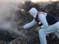 Kastamonu'da yaşanan vahşetin ayrıntıları gün yüzüne çıkıyor