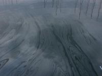 Urla’da denize fuel-oil sızdı, liman kapatıldı