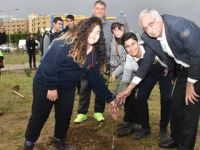 Girne Belediyesi’nin ağaçlandırma çalışmaları sürüyor
