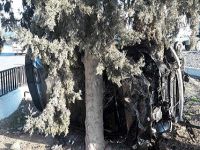 Kaza yaptı korkup kaçtı