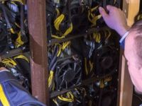 Kripto enerjiden bitki üretimi