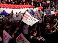 Aslan payı reklama gitti