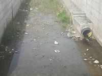 Hastane dibinde rezalet!