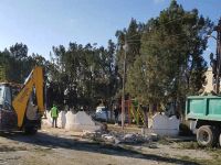 Akdoğan’da ağaç katliamı!